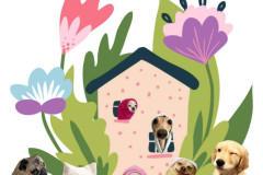 thumbnail_image0