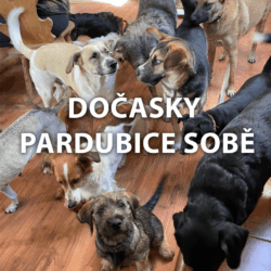 Dočasky Pardubice sobě