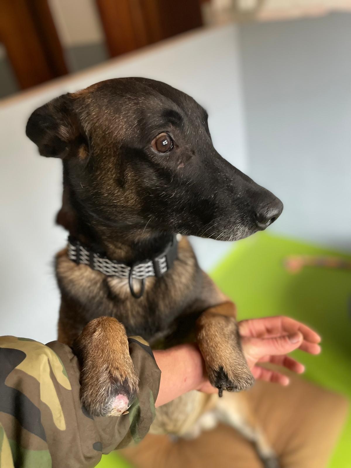 611377178_18315544177301631_3765626884674918164_n